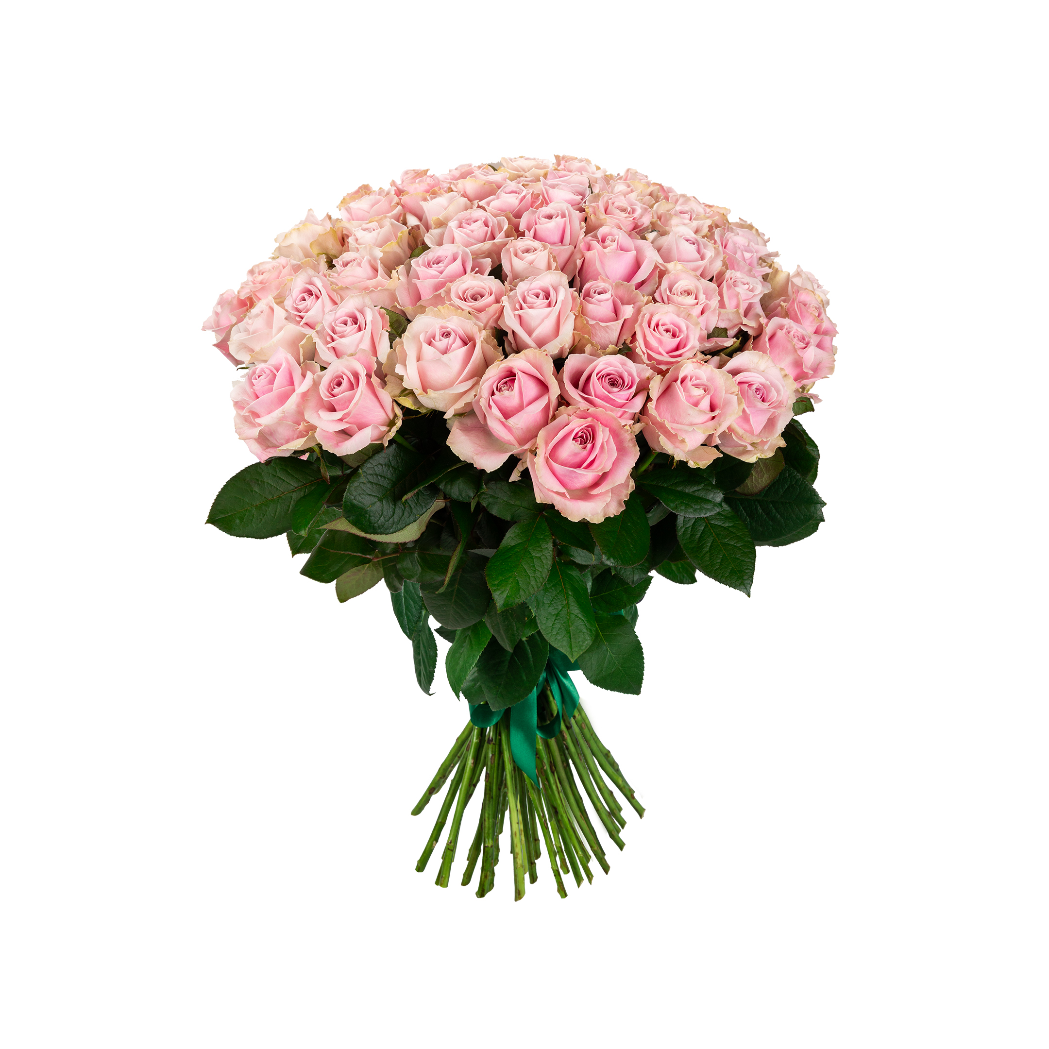 Pink Avalanche (60) роза на срез