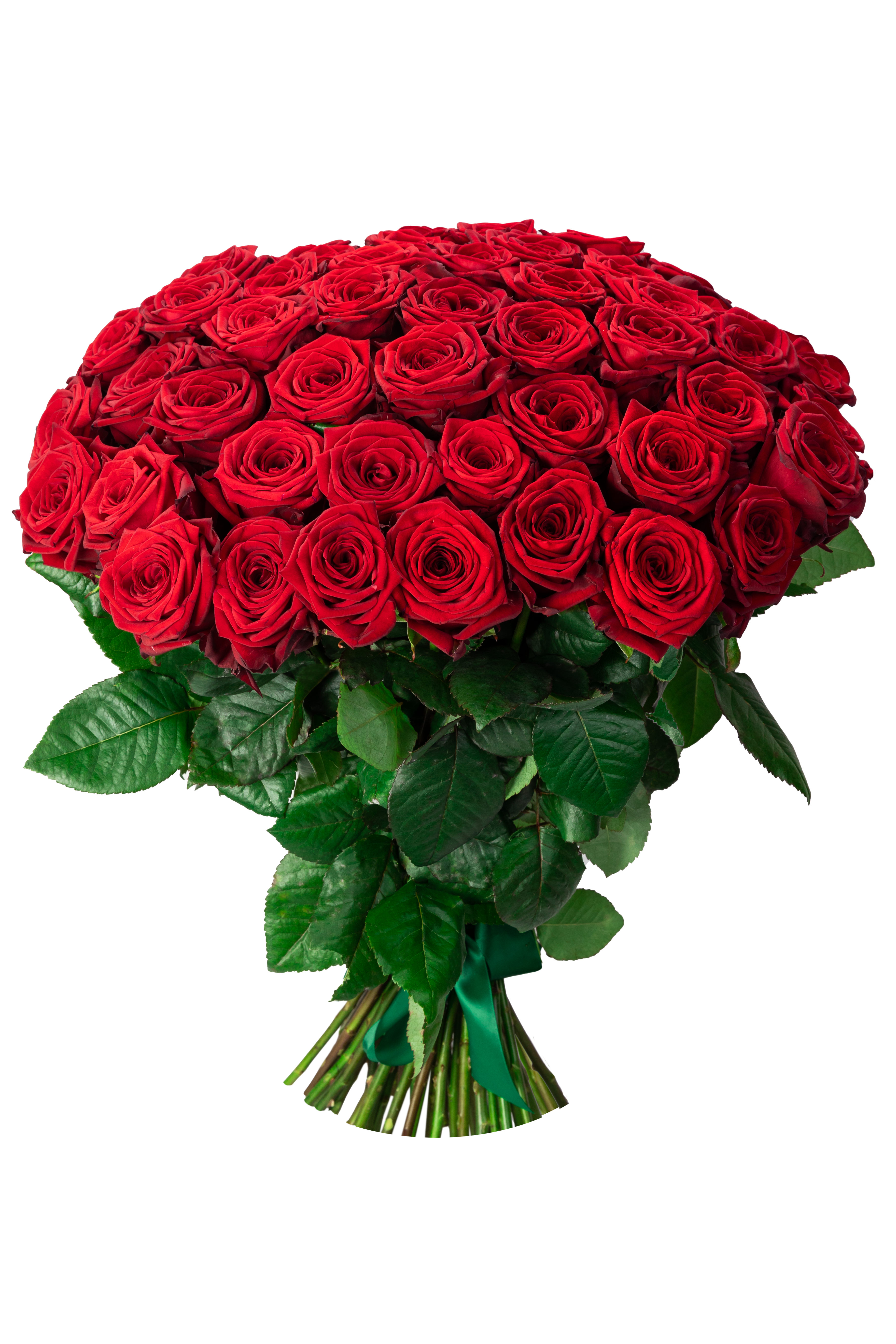 Red Naomi (50) роза на срез